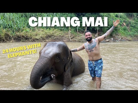 24 Hours with ELEPHANTS in Chiang Mai, Thailand 🇹🇭