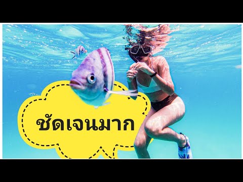 Best things to do in Koh Chang | เกาะช้างทะเลใสมาก มากี่ทีก็ไม่เบื่อ [Eng:Sub]