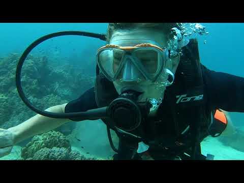 Diving day with bbdivers, made by one of our divers