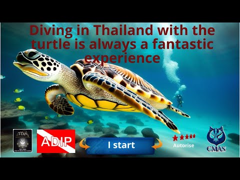 Diving in Thailand with the turtle is always a fantastic experience, with the 5* Thailand Diving
