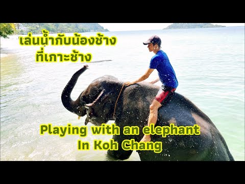 #engsub เล่นน้ำกับช้างในทะเล | Playing with elephants in the sea, Koh Chang | 12 Mar 2023