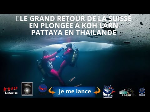 🐋le grand retour de la suisse en plongée a koh Larn avec le centre de plongée 5* IDC thailand Diving