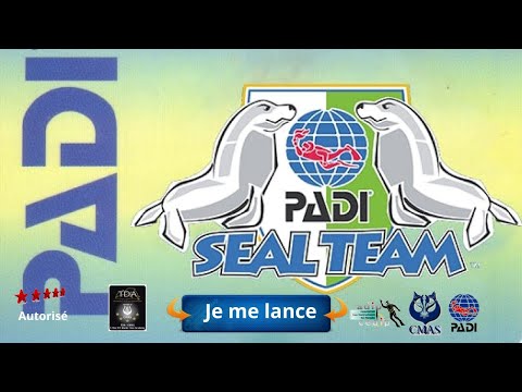 🦀#plongeur thailand diving Seal Team Aqua Missions #PADI , programme en piscine où les jeunes plonge
