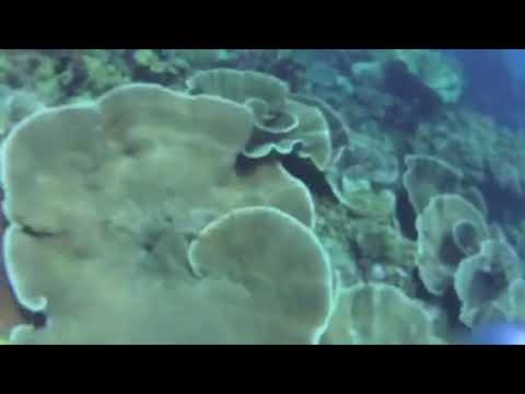 Hilsen fra Koh Chang