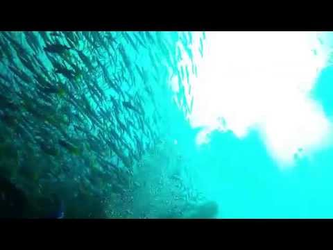 HTMS Chang Wreck Diving, Koh Chang Thailand