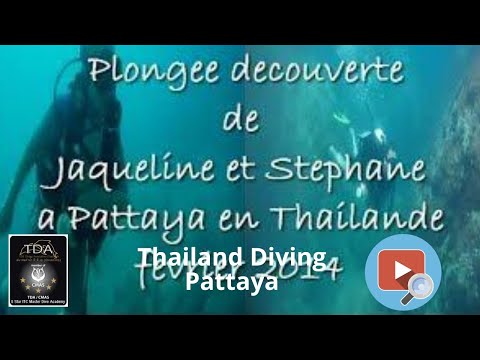 Journée plongée pour Jacqueline et Stéphane a Koh Rhin et sur le haardeep a Pattaya en Thaïlande