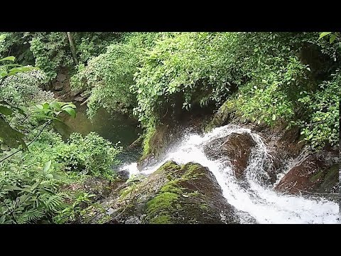 Ko Chang Kai Bae Waterfall