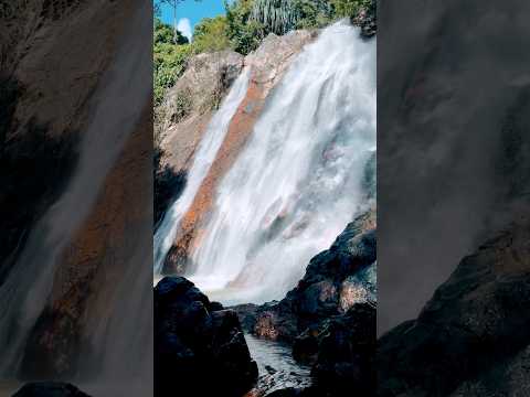 Koh Samui waterfall 💙#kohsamui #waterfall #thailand #shortsvideo #shortvideo #nature #naturelovers