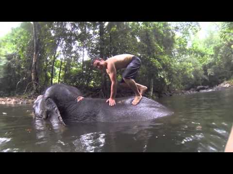 Micah and Josiah's Adventures with Rambo the Elephant