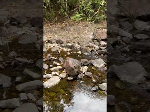 National park in Koh Chang #thailand #travel #kohchang #shortvlog