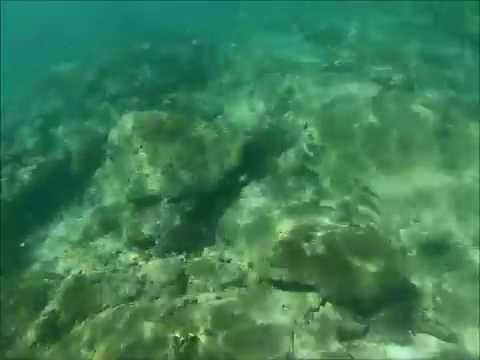 The best places to snorkel off the beach on Koh Chang