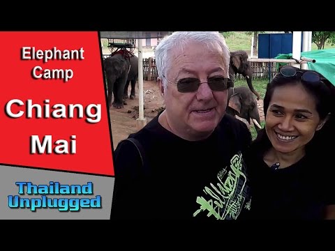 Things to do in Chiang Rai Elephant Camp Amphoe Mueang ปางช้างอำเภอเมือง