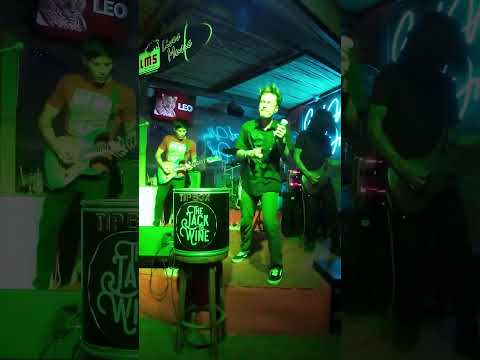 whiskey in the jar – The Palms Bar & Grill, Chaweng Koh Samui #shorts