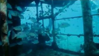 Wreck penetrations of the HTMS Chang, Ko Chang, Thailand