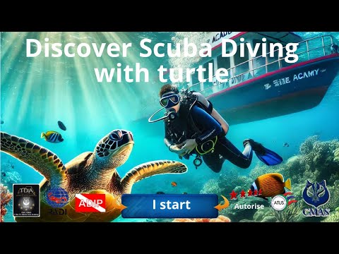 3 divers Discover Scuba Diving with turtle in Thailand with the 5 star Dive Academy Thailand Diving