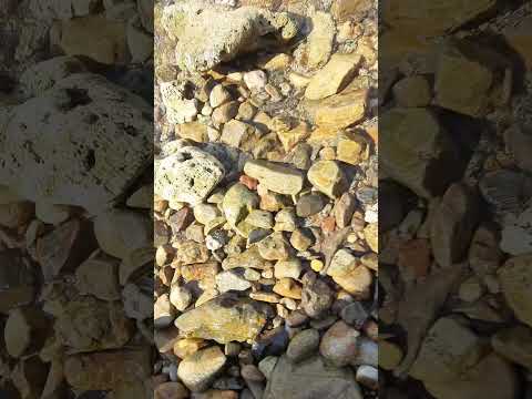 Corals, Lonely Beach, Thailand