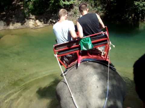 Elephant Trek into the water