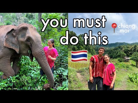 I visited the best elephant sanctuary in Thailand