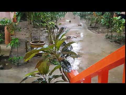 Lonely Beach Koh Chang Thailand