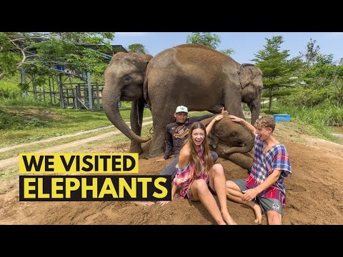 Visiting ELEPHANTS in Chiang Mai, Thailand 🇹🇭