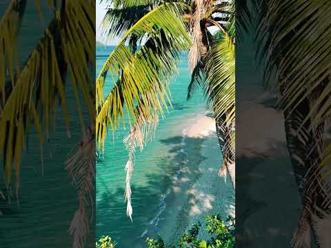 Welcome to Lonely Beach, Koh Chang. 🌴 #shorts #youtubeshorts #trending